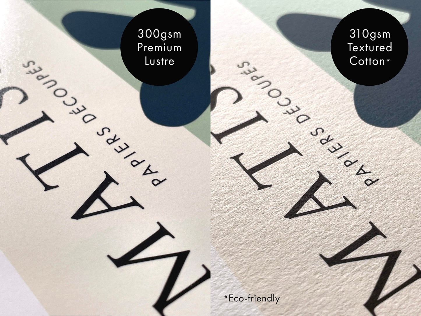 Alexander Francis Lydon - Set of 3 Leaf Prints from 'Les Plantes à Feuillage Coloré' | Art Print Sets | Pathos Studio