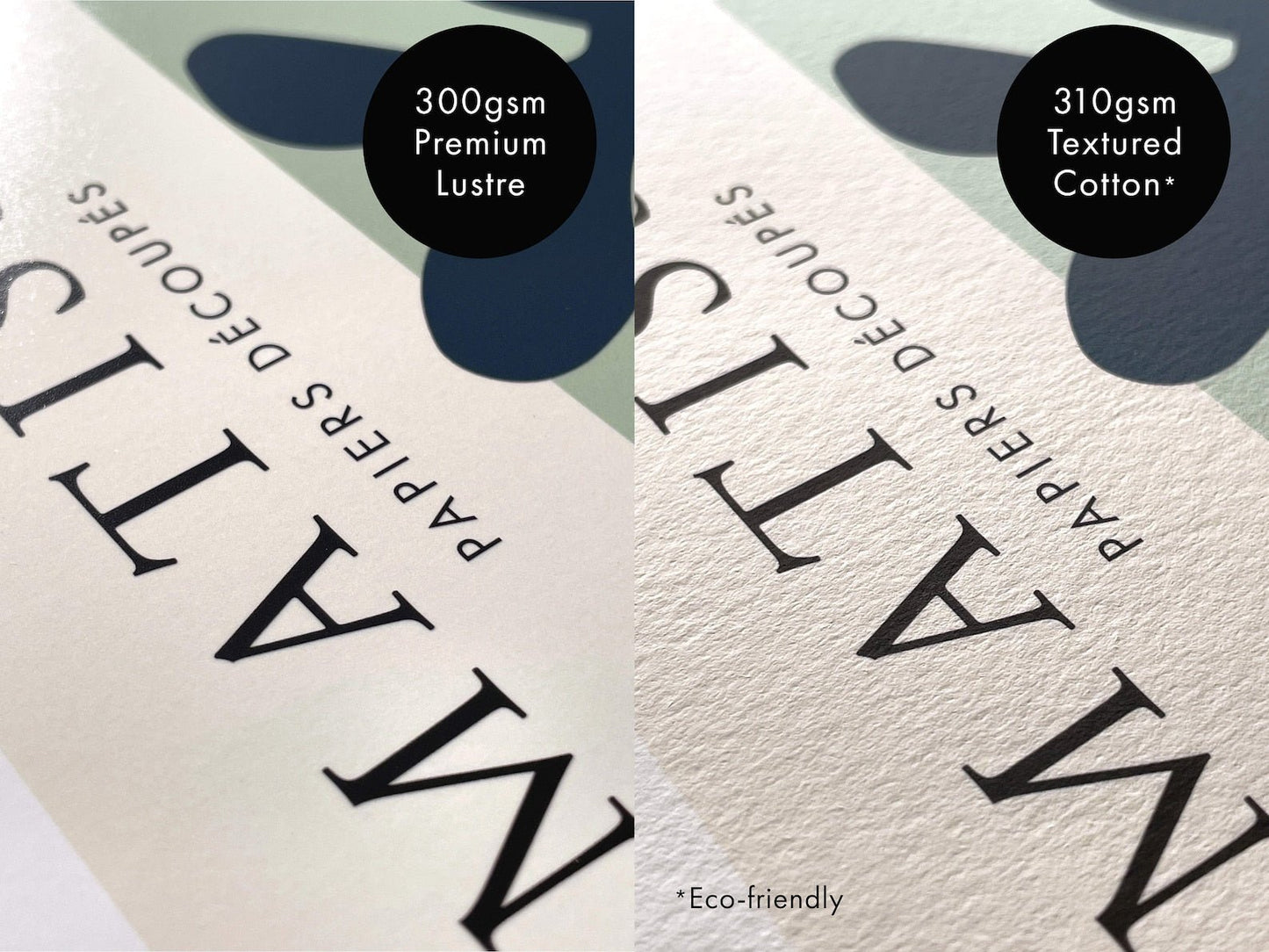 Porträt eines Musikers