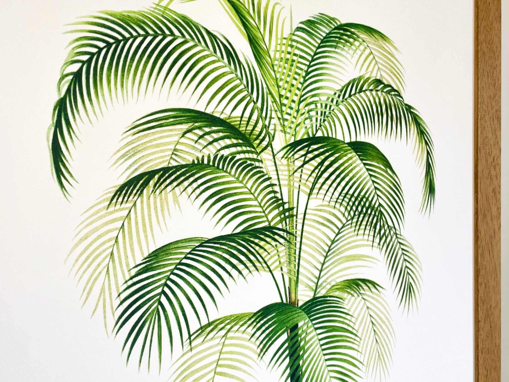 Why frame art without glazing? – Pathos Studio