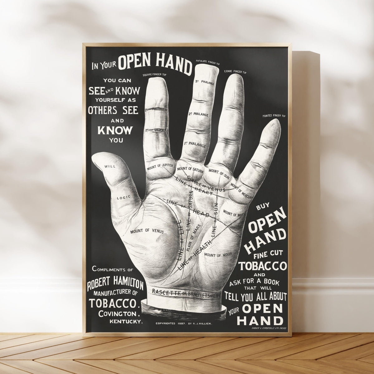 The image is a poster featuring a hand with various labels and text, likely providing information or instructions related to the hand.