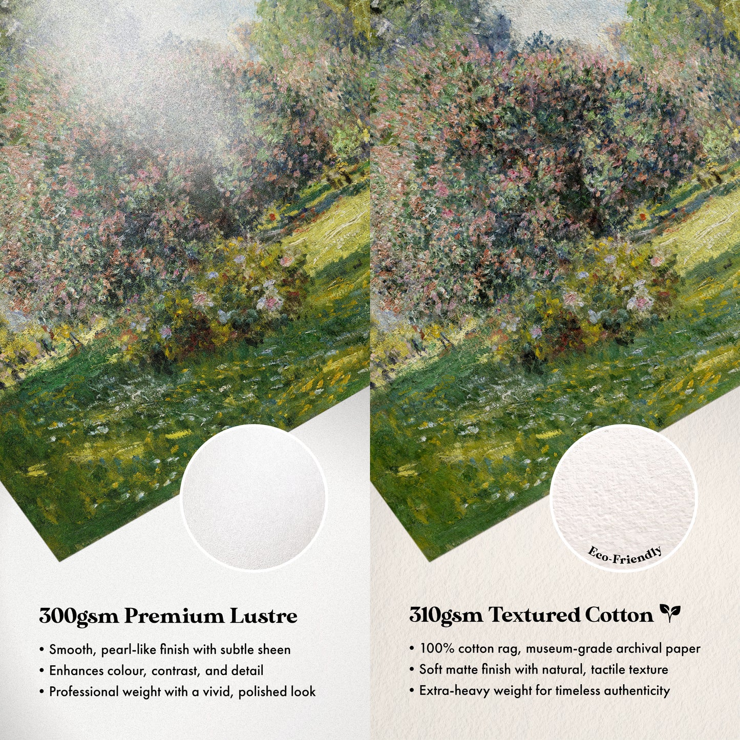 The image is a comparison of two types of paper: a smooth, pearl-like finish with subtle sheen and a textured cotton paper. The text highlights the differences between the two, such as the cotton paper's 100% cotton rag, museum-grade archival paper, soft matte finish with natural, tactile texture, and professional weight with a vivid, polished look.