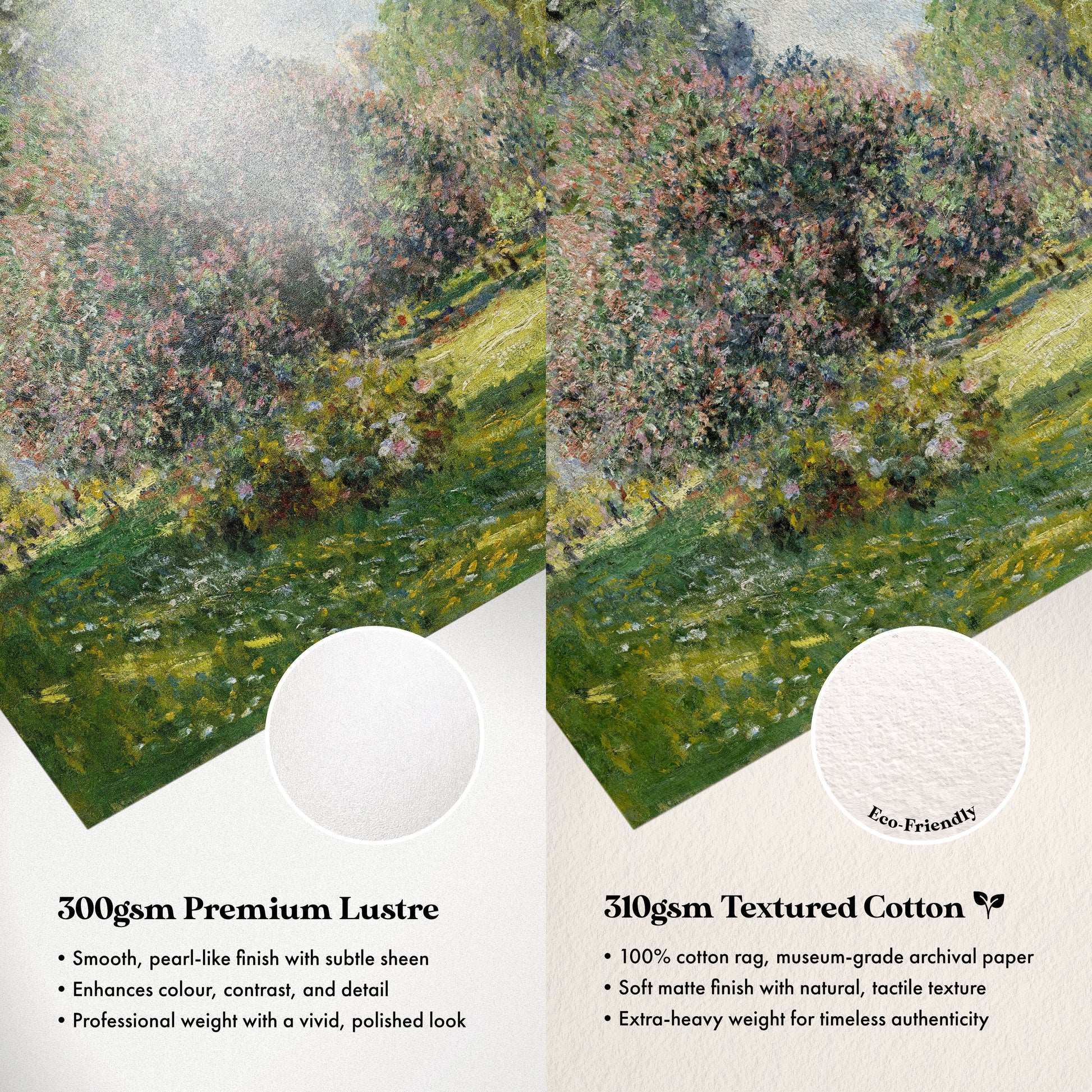 The image is a comparison of two types of paper: a smooth, pearl-like finish with subtle sheen and a textured cotton paper. The text highlights the differences between the two, such as the cotton paper's 100% cotton rag, museum-grade archival paper, soft matte finish with natural, tactile texture, and professional weight with a vivid, polished look.