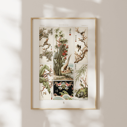 ALBERT RACINET - Chinese Pattern from 'L'ornement Polychrome' - Pathos Studio - Art Prints