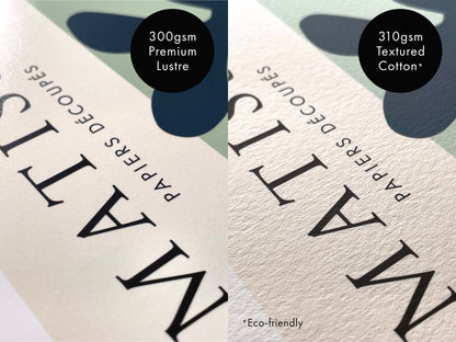 Alexander Francis Lydon - Maranta Porteana from 'Les Plantes à Feuillage Coloré' | Art Prints | Pathos Studio