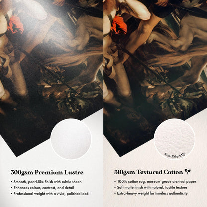 Paper Comparison