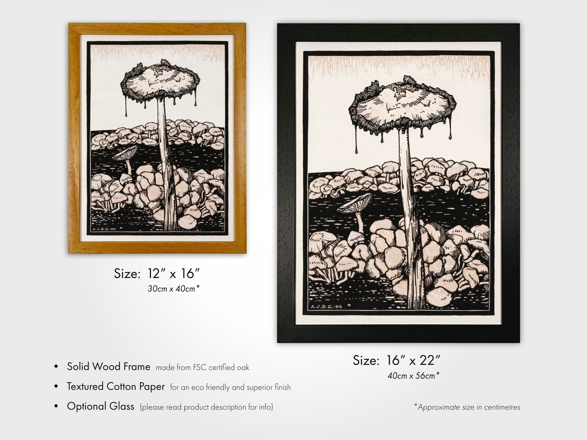 Julie De Graag - Dripping Mushroom | Art Prints | Pathos Studio