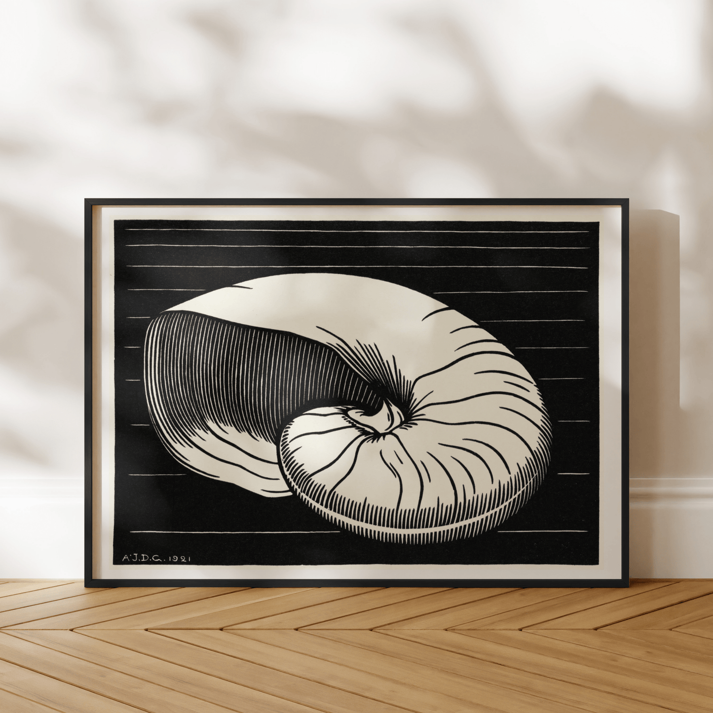 Julie De Graag - Shell | Art Prints | Pathos Studio