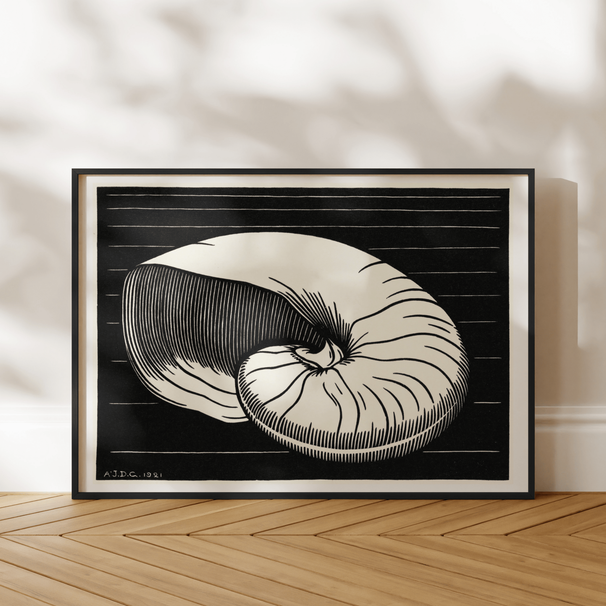 Julie De Graag - Shell | Art Prints | Pathos Studio