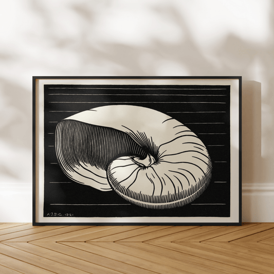 Julie De Graag - Shell | Art Prints | Pathos Studio