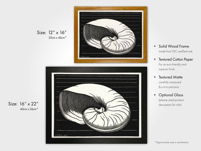 Julie De Graag - Shell | Art Prints | Pathos Studio