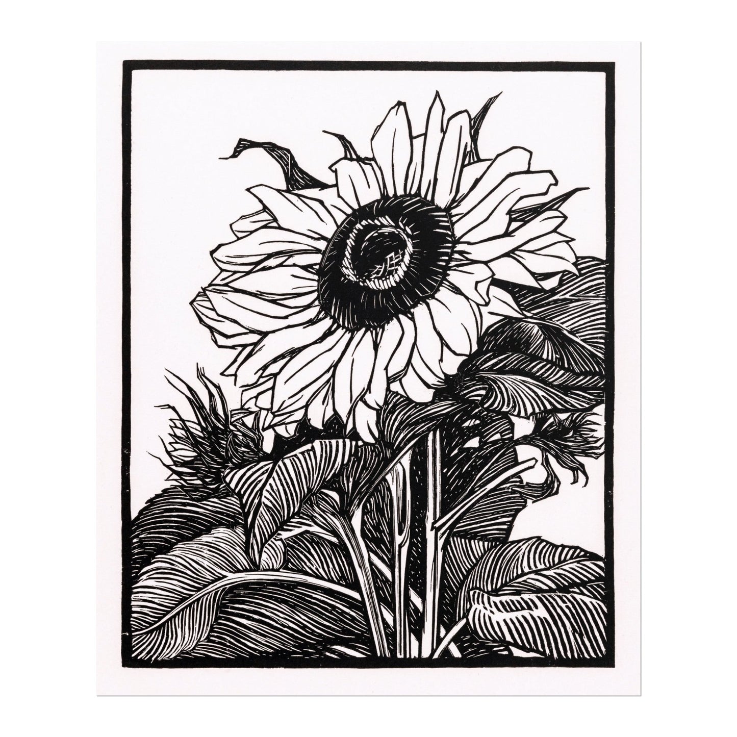 Julie De Graag - Sunflower | Art Prints | Pathos Studio