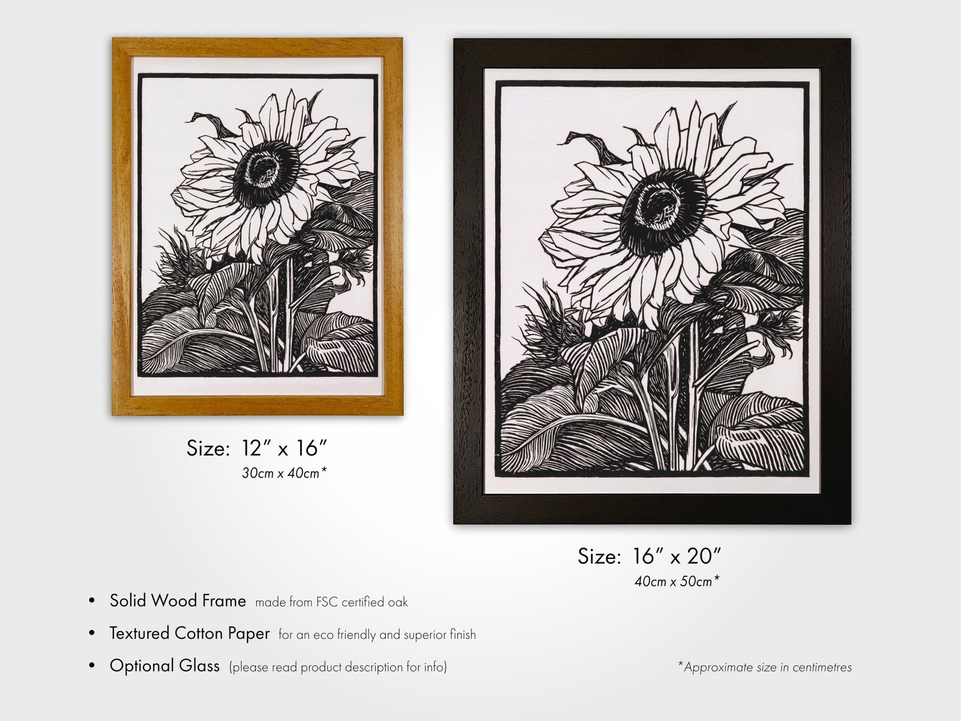 Julie De Graag - Sunflower | Art Prints | Pathos Studio