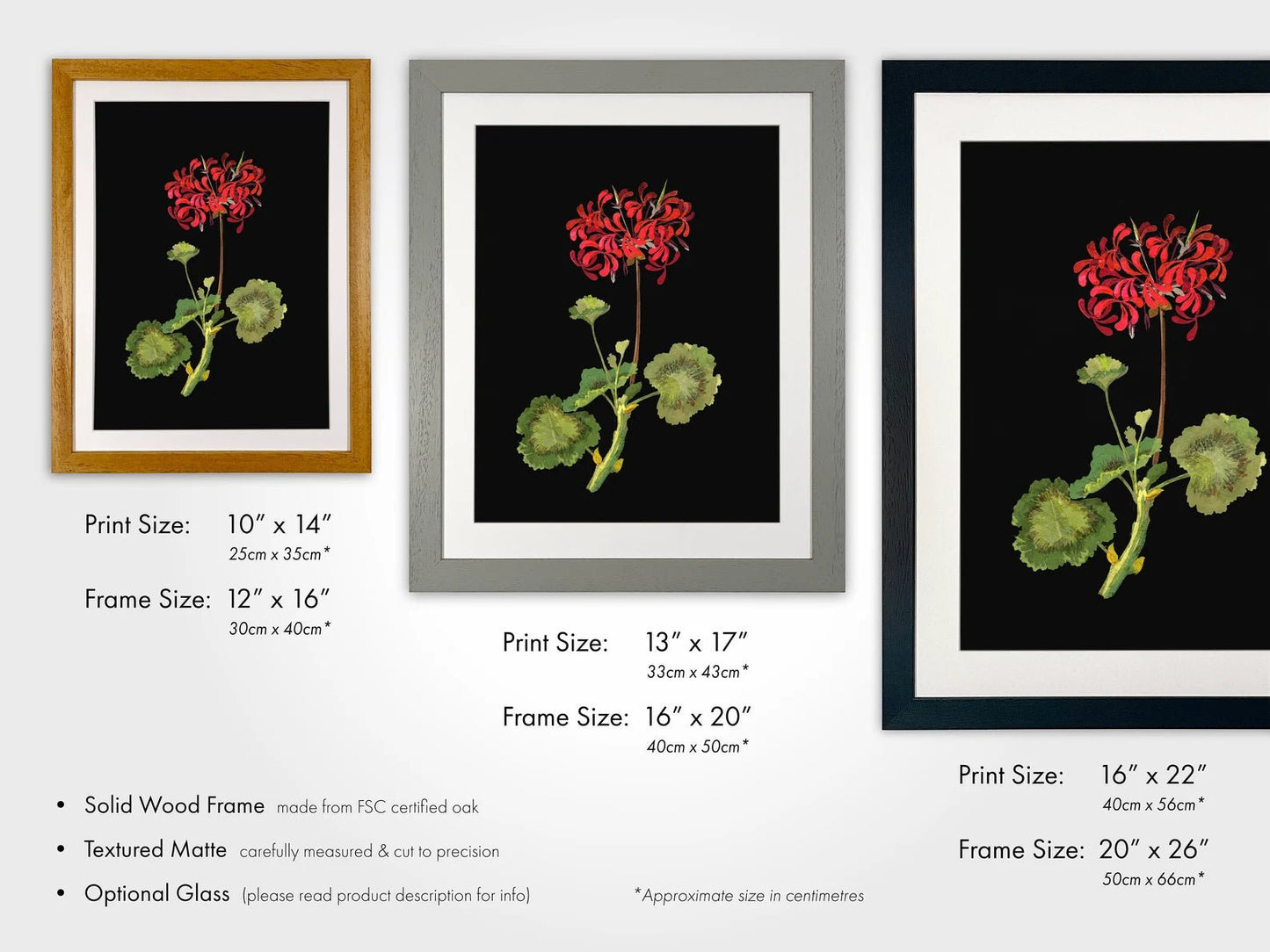 MARY DELANY - Geranium - Pathos Studio - Art Prints