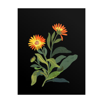 MARY DELANY - Marigold (Giclée Art Print) - Pathos Studio - Marketplace Listings