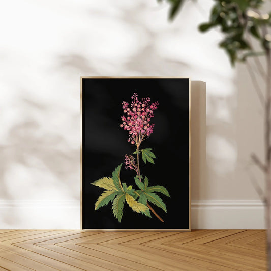 MARY DELANY - Red Meadow Flowers - Pathos Studio - Art Prints