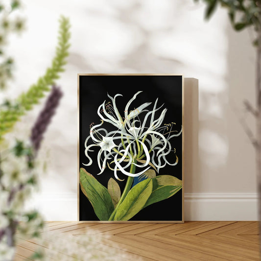 MARY DELANY - Sea Daffodil - Pathos Studio - Art Prints