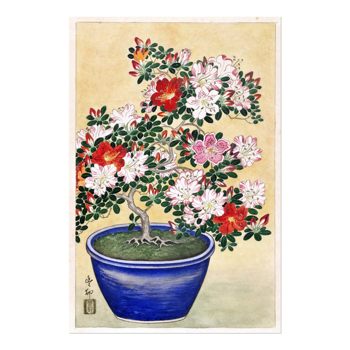 OHARA KOSON - Blooming Azalea in Blue Pot - Pathos Studio - Art Prints