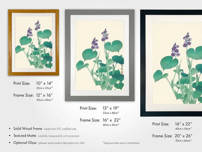 OHARA KOSON - Blooming Hosta - Pathos Studio - Art Prints