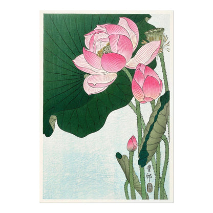 OHARA KOSON - Blossoming Lotus Flowers - Pathos Studio - Art Prints