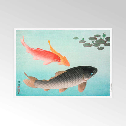 OHARA KOSON - Common and Golden Carp - Pathos Studio - Art Prints