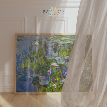 Water Lilies