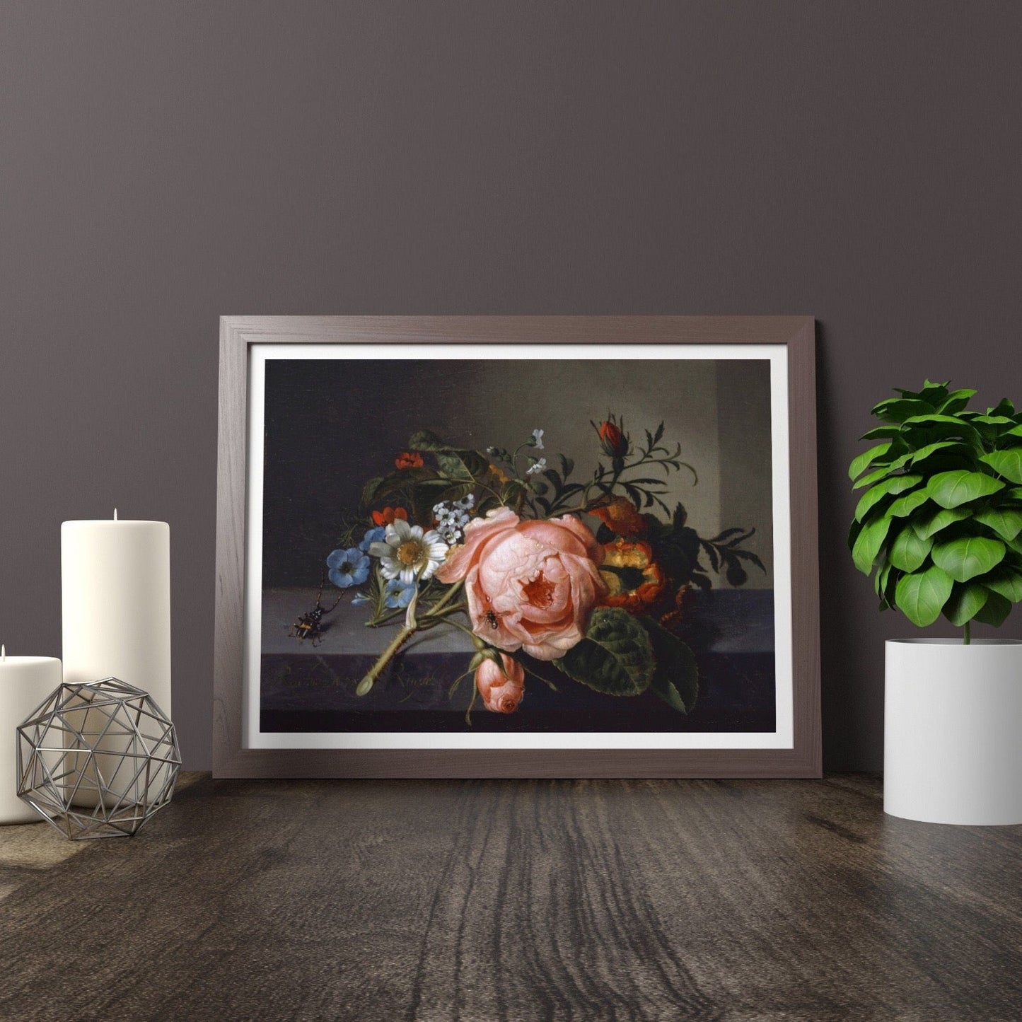 RACHEL RUYSCH - Still Life With A Rose Branch, Beetle And Bee (Giclée Art Print) - Pathos Studio - Marketplace Listings