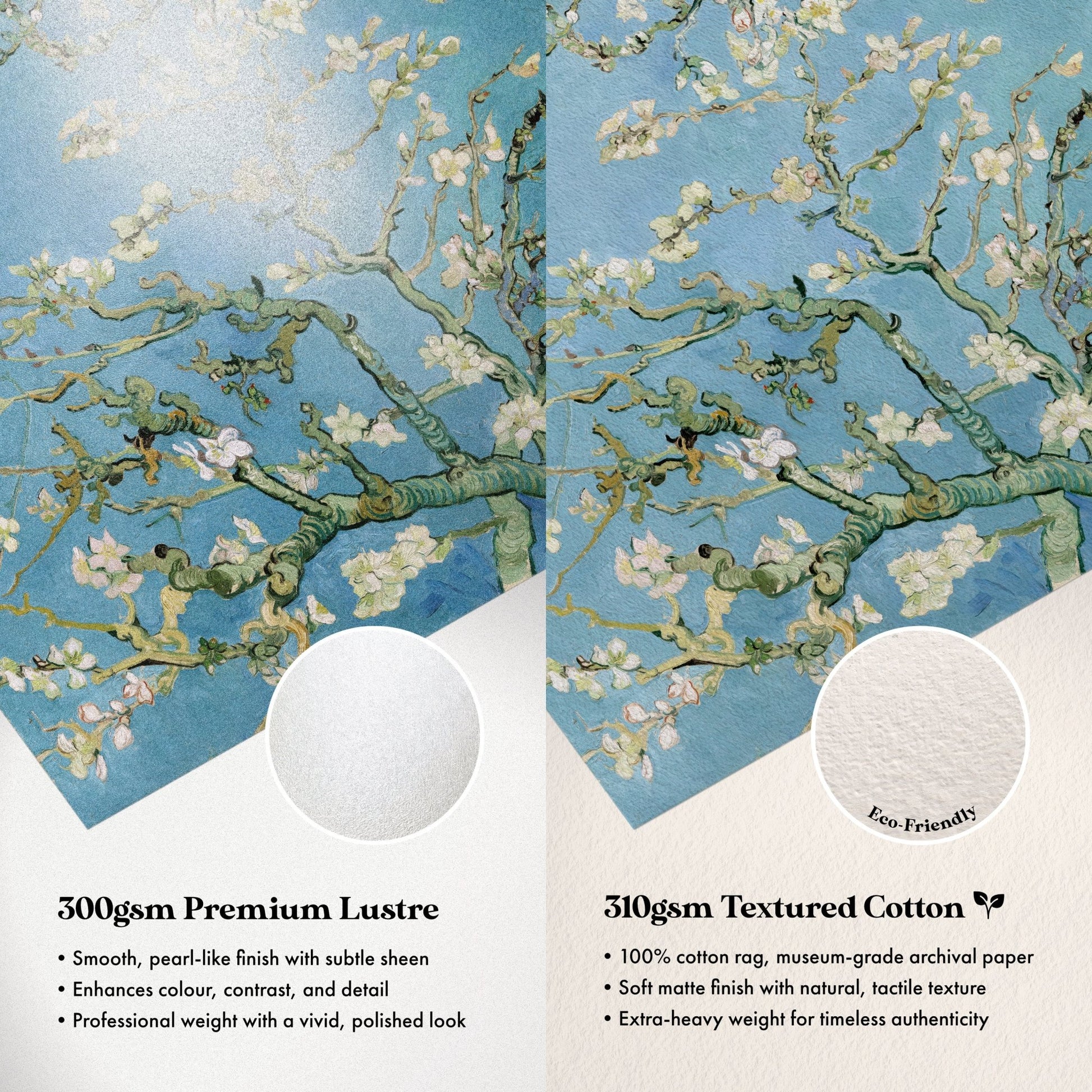 Vincent Van Gogh - Almond Blossoms | Art Prints | Pathos Studio