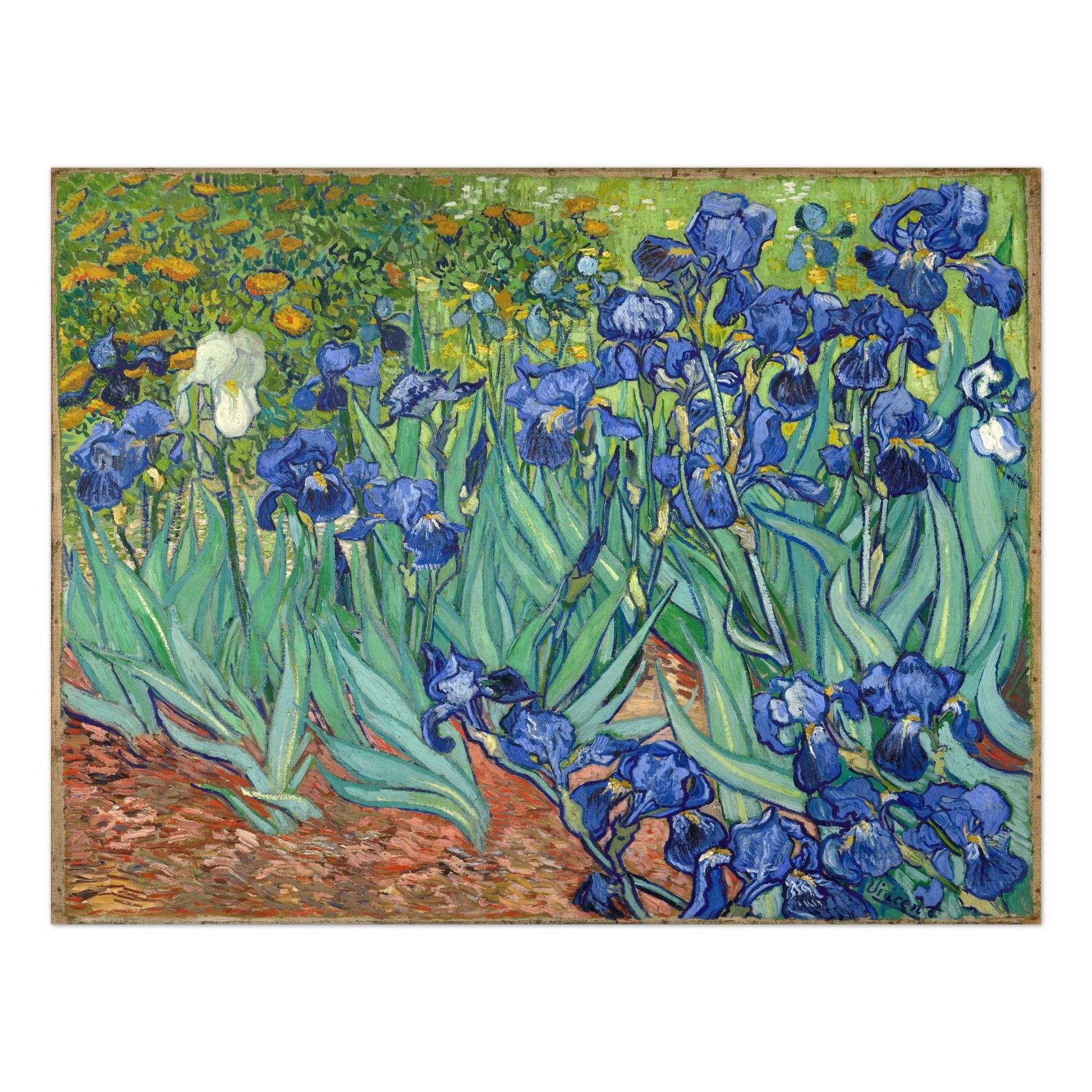 VINCENT VAN GOGH - Irises (Giclée Art Print) - Pathos Studio - Marketplace Listings