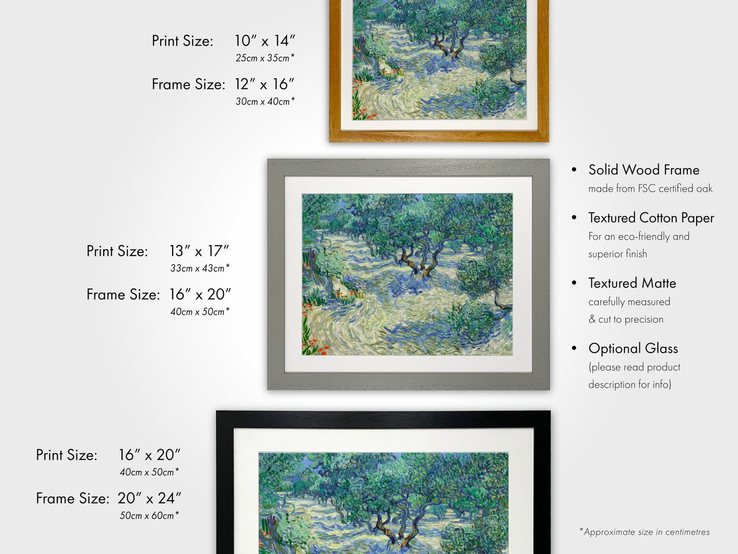 VINCENT VAN GOGH - Olive Orchard - Pathos Studio - Art Prints