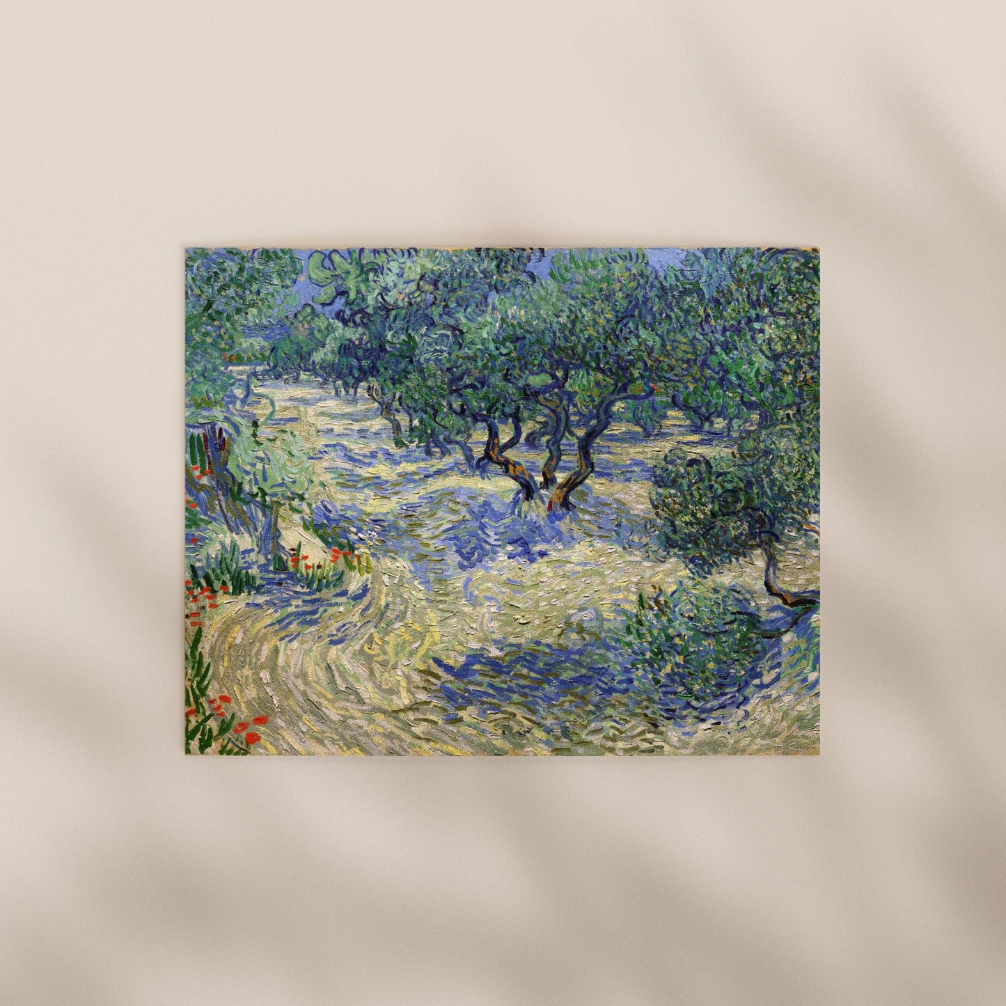Vincent Van Gogh - Olive Orchard | Art Prints | Pathos Studio