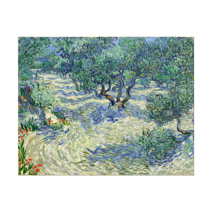 VINCENT VAN GOGH - Olive Orchard - Pathos Studio - Art Prints