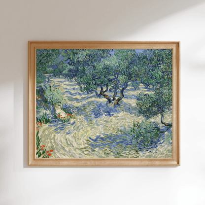 VINCENT VAN GOGH - Olive Orchard - Pathos Studio - Art Prints