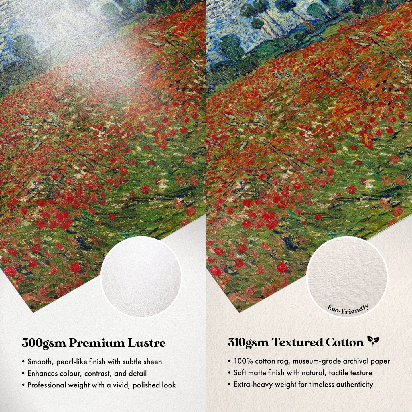 Vincent Van Gogh - Poppy Field | Art Prints | Pathos Studio