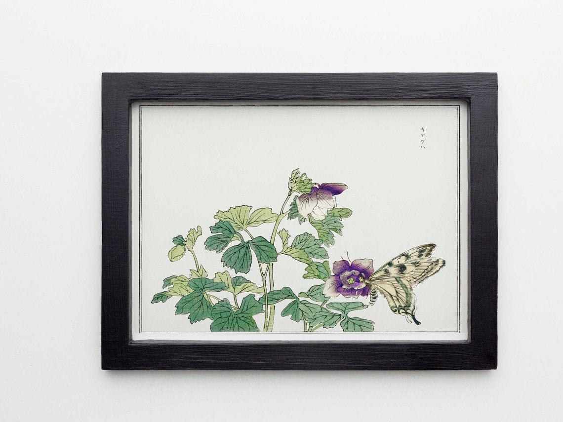 MORIMOTO TOKO - Schmetterling mit Blume