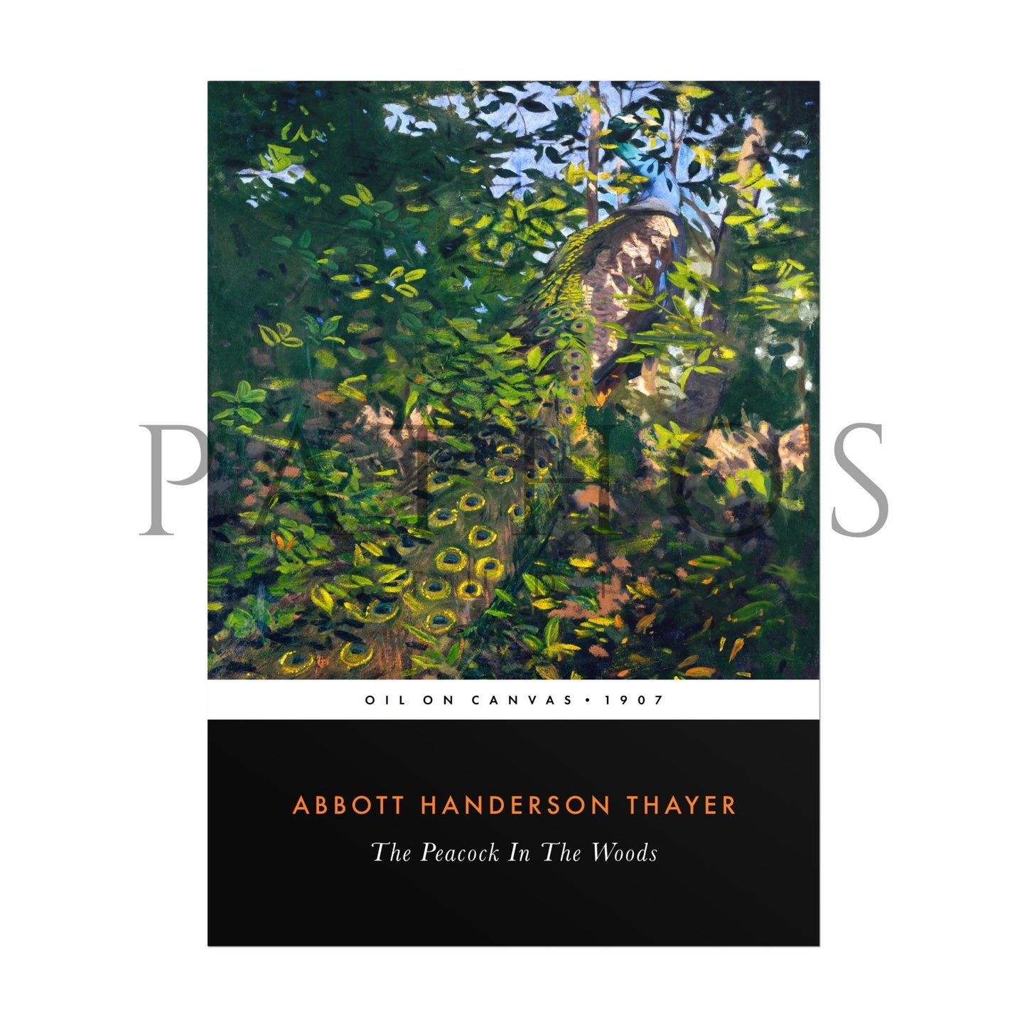 ABBOTT HANDERSON THAYER - The Peacock In The Woods (Vintage Classic Style) - Pathos Studio - Art Prints