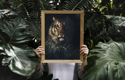 ABBOTT HANDERSON THAYER - Tiger’s Head