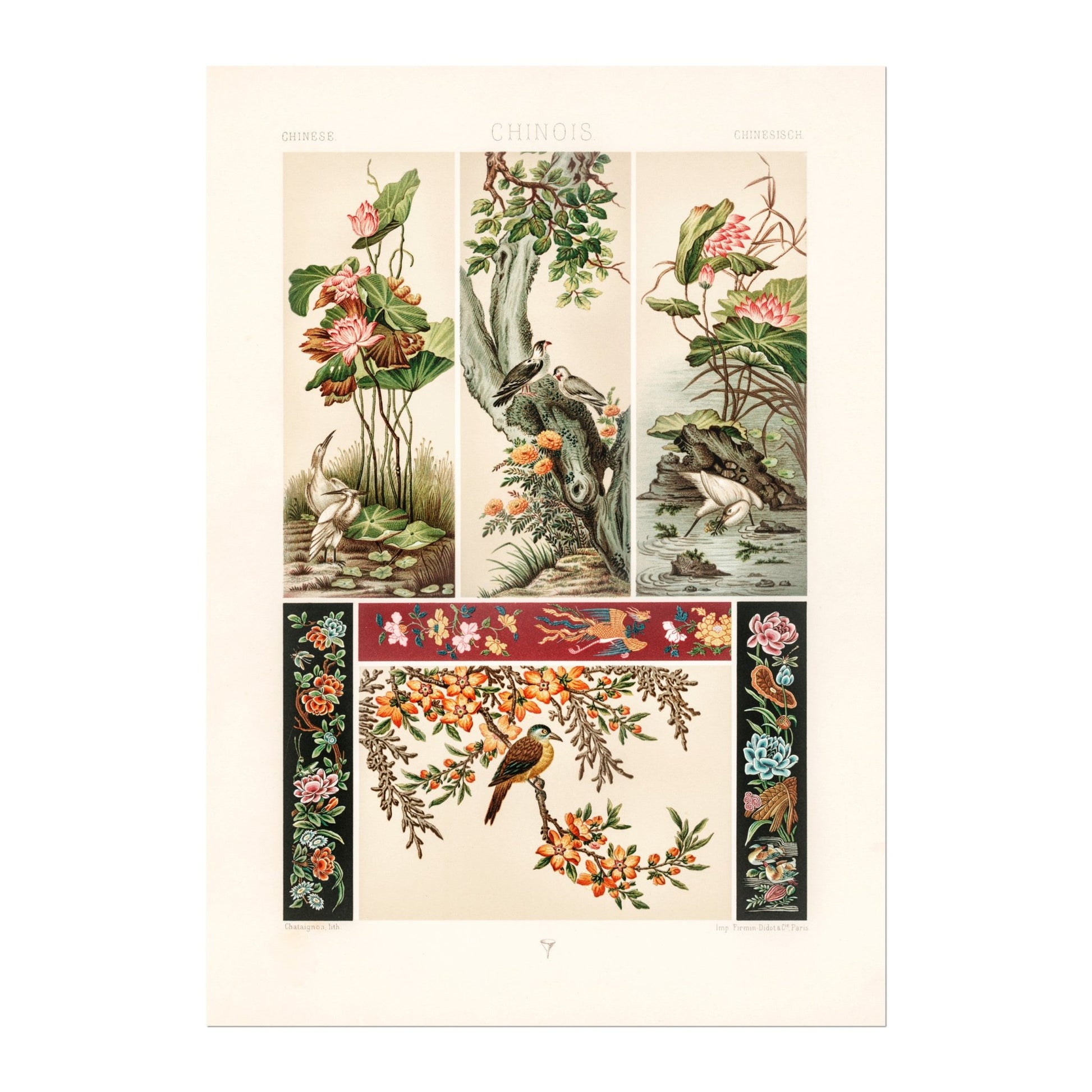 ALBERT RACINET - Chinese Pattern Lithograph from 'L'ornement Polychrome' 1 (Giclée Art Print) - Pathos Studio - Art Prints