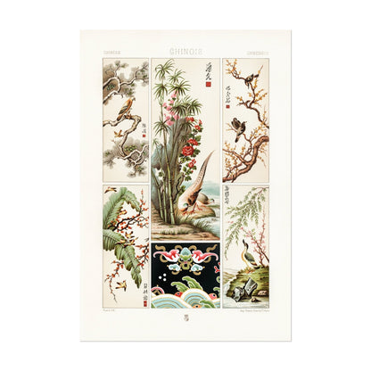 ALBERT RACINET - Chinese Pattern Lithograph from 'L'ornement Polychrome' 2 (Giclée Art Print) - Pathos Studio - Art Prints