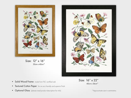Butterfly & Moth (From Le Jardin Des Plantes by Paul Gervais) - Pathos Studio - Art Prints