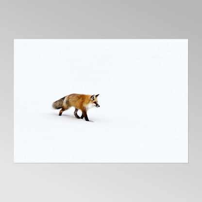 CAROL M. HIGHSMITH - A Red Fox Prowls for Voles