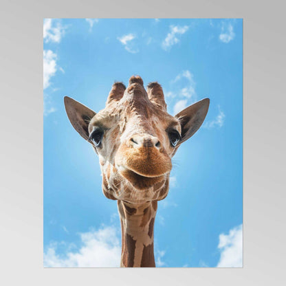 CAROL M. HIGHSMITH - Giraffe up-close (at Gladys Porter Zoo)