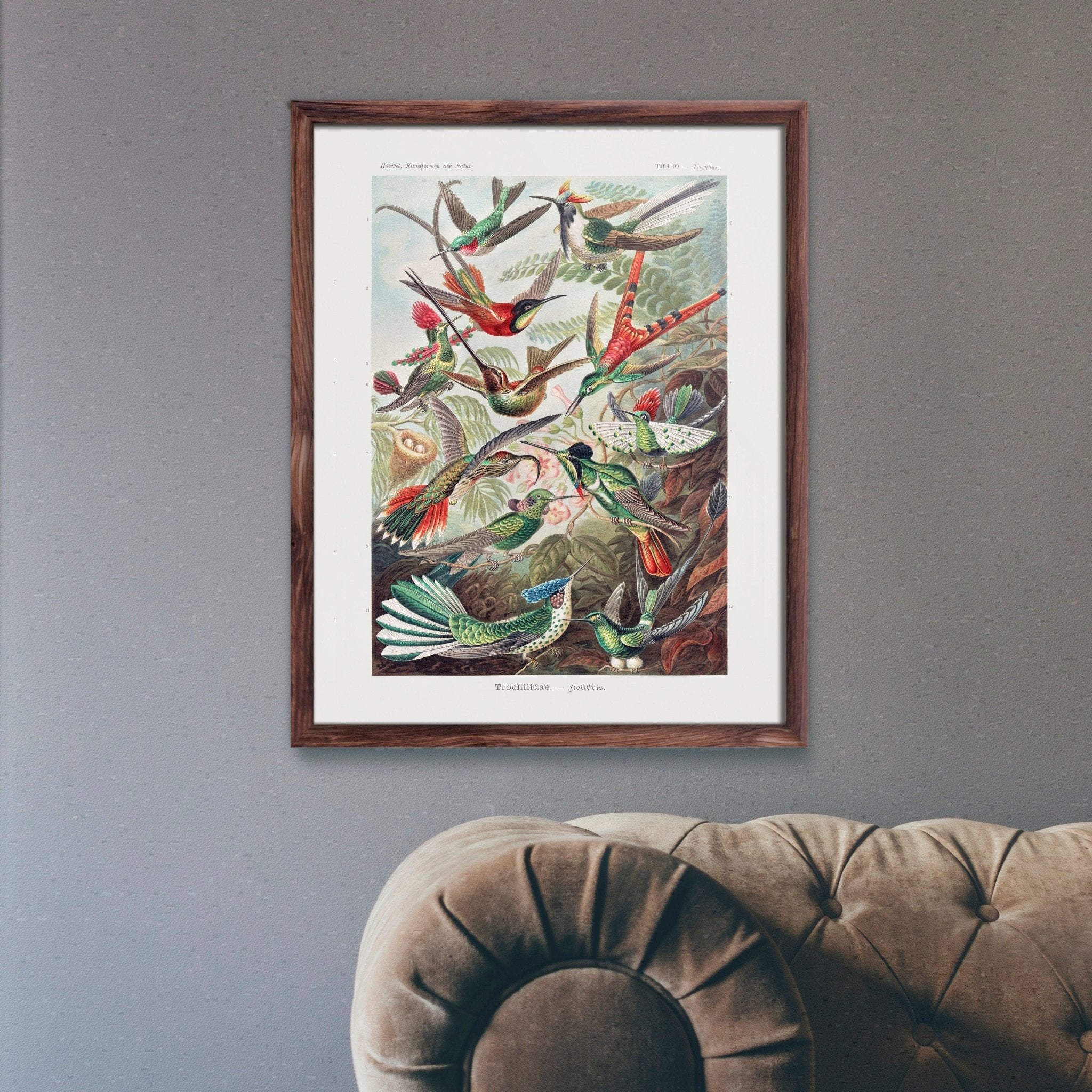 Hummingbirds Framed Vertical Poster popular Trochilidae