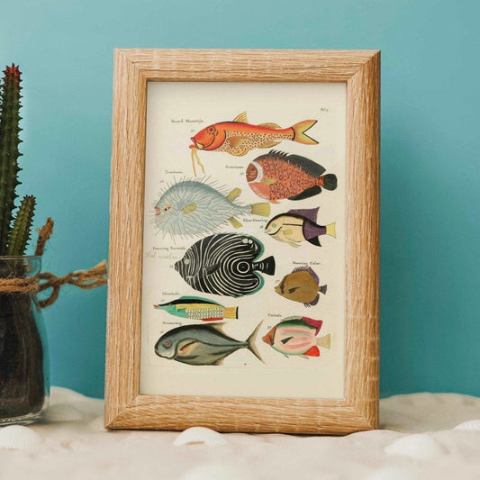 Fisch aus Ostindien (Vintage-Tierillustration)