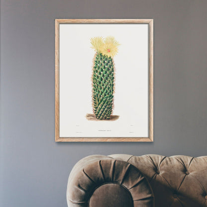Hedgehog Cactus (Botanical Lithograph)