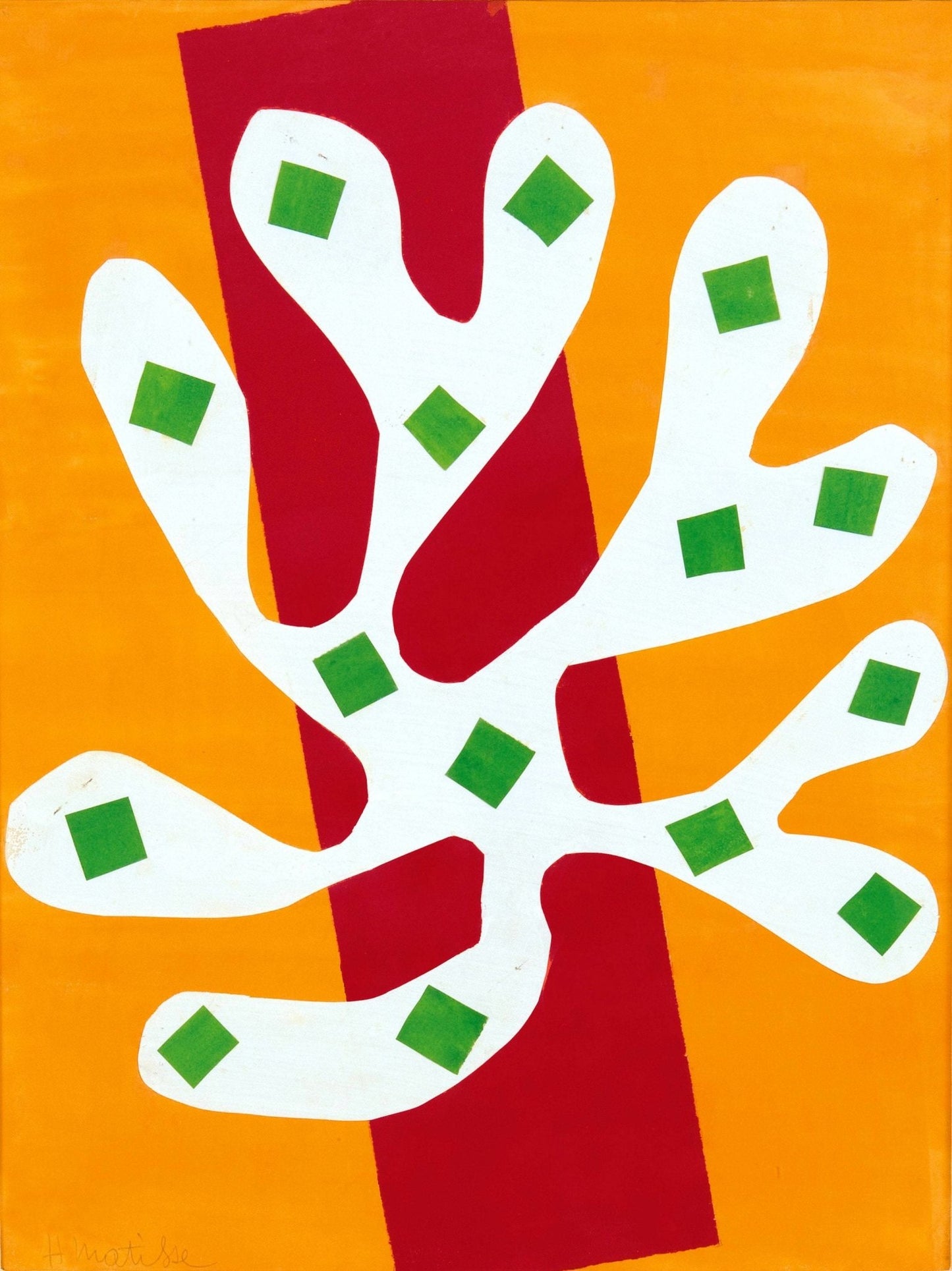 HENRI MATISSE - White Alga on Orange and Red Background