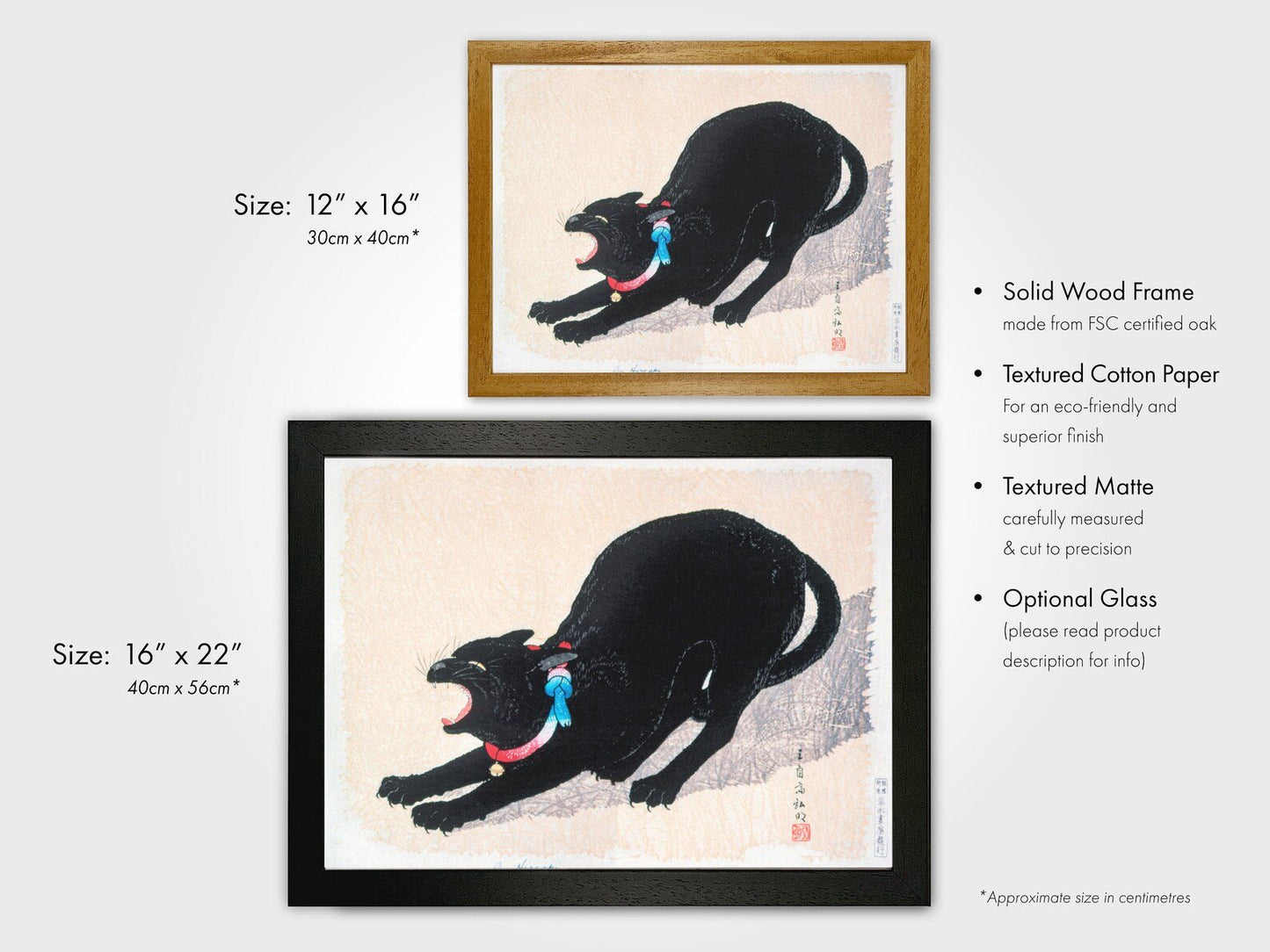 HIROAKI TAKAHASHI - Black Cat Hissing - Pathos Studio -