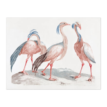 JOHAN TEYLER - Miss Crane Birds (À La Poupée)