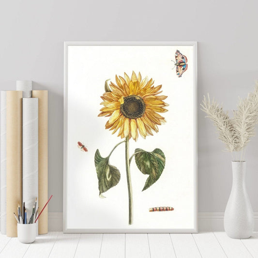 JOHAN TEYLER – Sonnenblume, Raupe und zwei Schmetterlinge (À La Poupée)