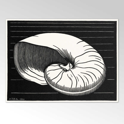 JULIE DE GRAAG - Shell - Pathos Studio - Posters, Prints, & Visual Artwork