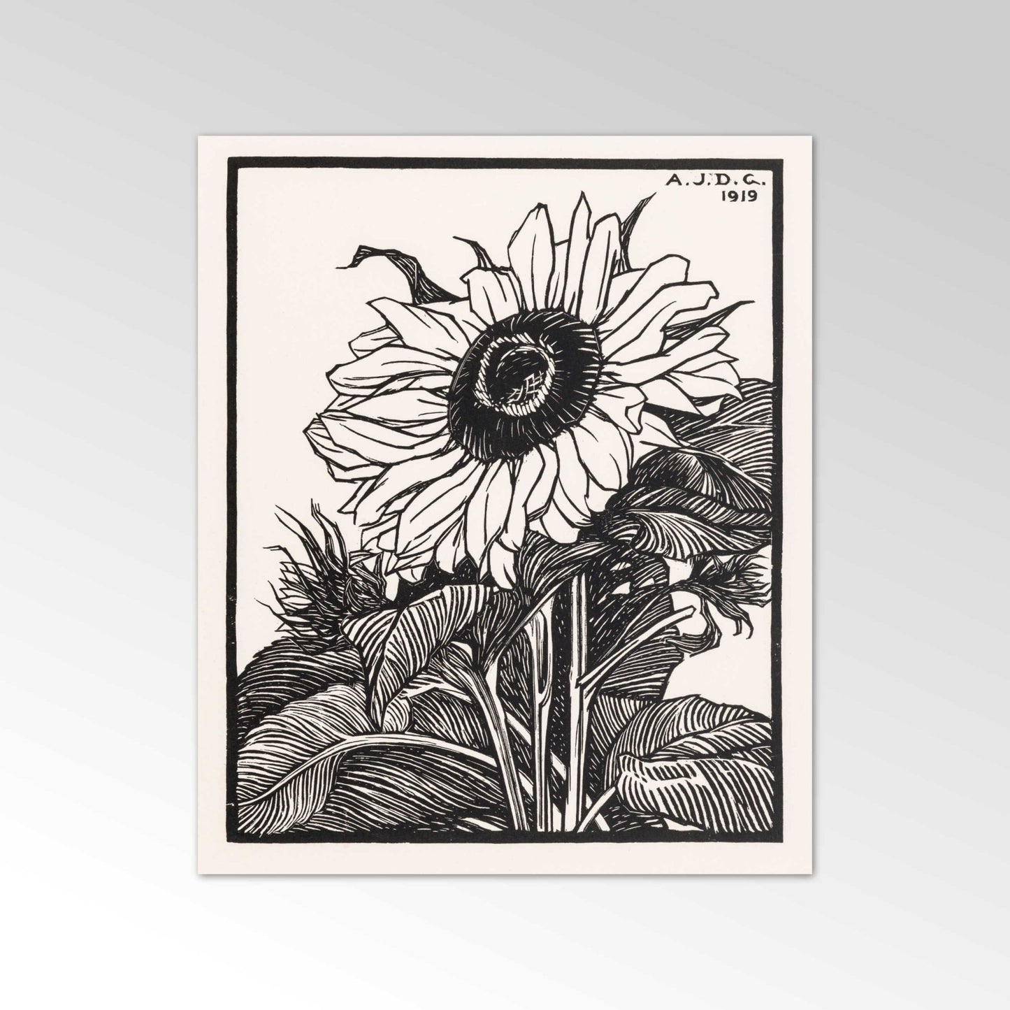 JULIE DE GRAAG - Sunflower - Pathos Studio - Posters, Prints, & Visual Artwork